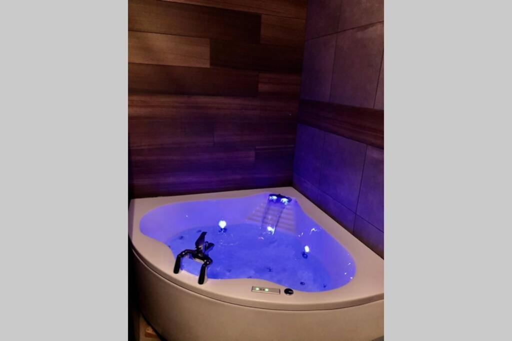 Studio Cocooning Spa, Lit Xxl, Cour Exterieure Le Puy-en-Velay Екстериор снимка